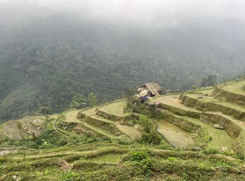Bikki's jungle homestay