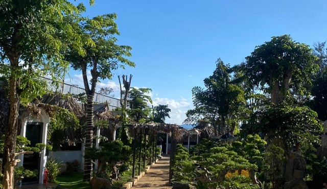 BING BONG HOTEL