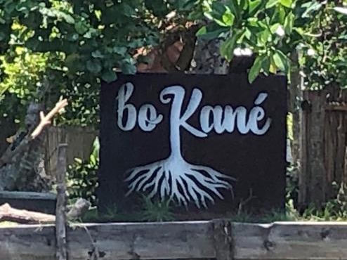 Bokané