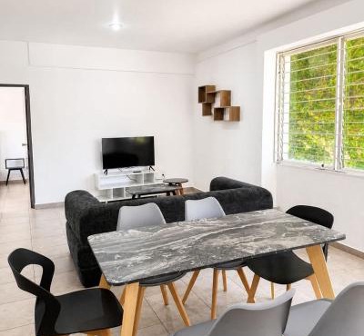 Bowra Milan Providencia, Private Apartment 6