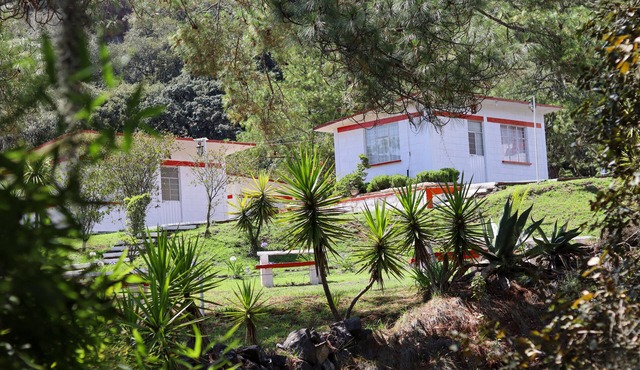 Bungalows Villa Limon