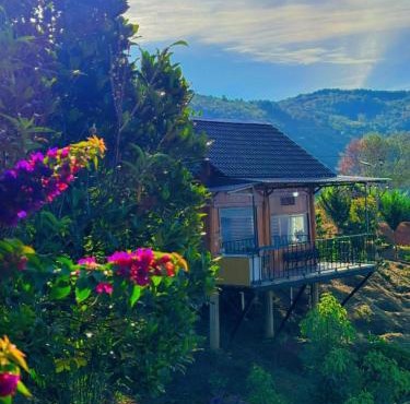 Căn gentle home