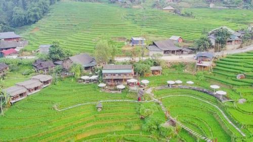 Cơmlam Eco House