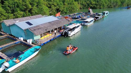 Cần Giờ Floating House
