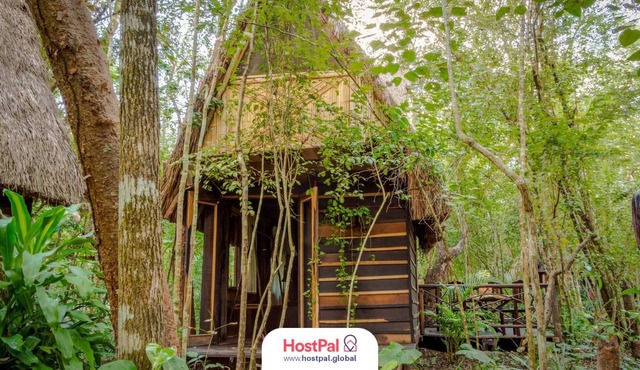 Cabaña Eco Friendly | Desconectar para conectar