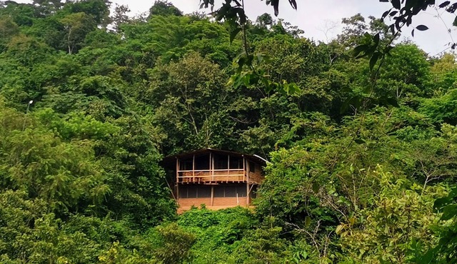 Cabaña Guarumbo - Connection with Nature