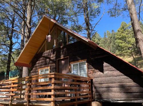 Cabaña sequoya
