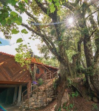 cabañas cruz verde