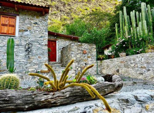Cabañas Rincón Metztitlán