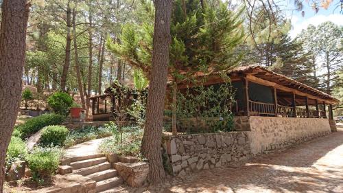 Cabañas Tapalpa Sierra del Tecuan, Cabaña Coyote