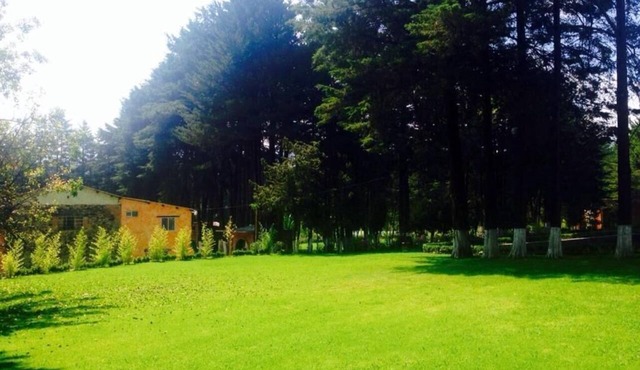 CABIN FOR 4 PEOPLE #7 @JARDIN RINCON DE LAS ESTRELLAS