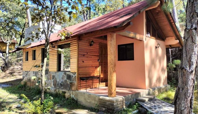Cabin for 2 in San Giussepe Forest