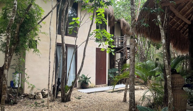 Cabins in the middle of the Mayan jungle in Tulum with cenote type pool