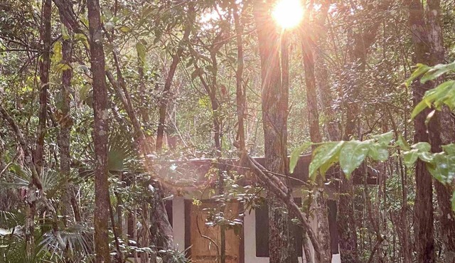 Casa Arkaana Eco Retreat