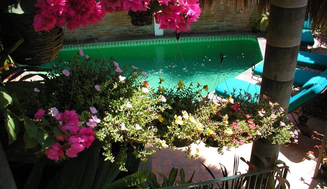 Casa de la Hoja: Lovely Private Villa: Secluded Pool : Perfect Walkable Location