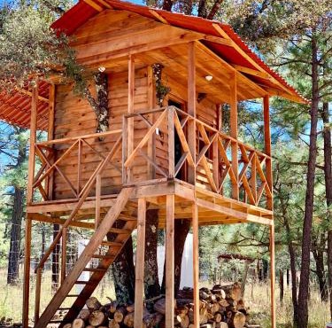 CASA DEL ARBOL en la Sierra de Durango