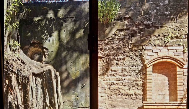 Casa del Arbol
