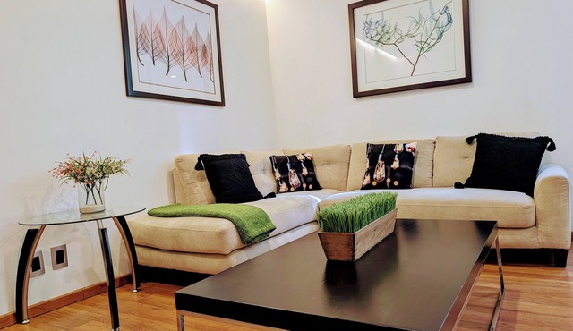 Casa Donceles Apt 5 Group Top Choice, Ideal for families & groups