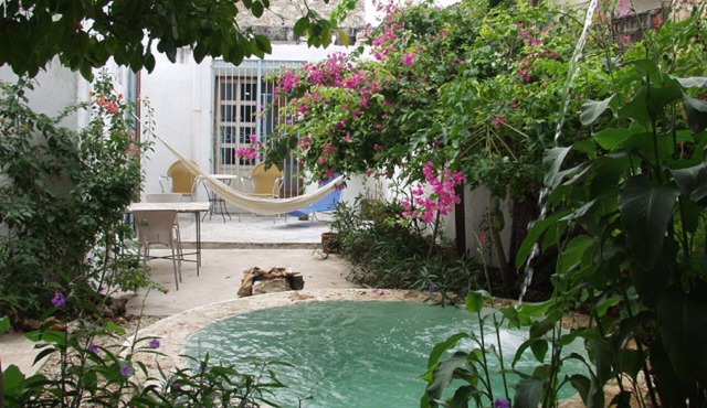 Casa Flora Peaceful Oasis in el centro long term specials!
