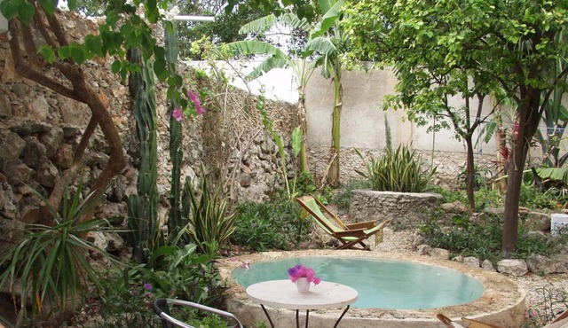 Casa Flora, Peaceful Oasis in el Centro