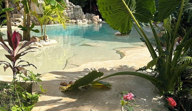 Casa Yaxunah 30 min from Chichen