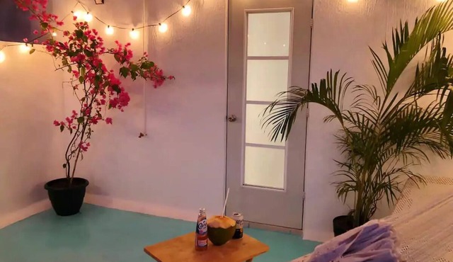 Casita Mora - Renovated house 3BR/4BA/AC