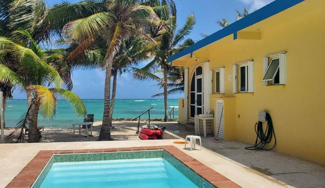 Castaway Palms Beach, Ocean & Pool Front House