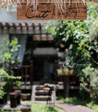 Cat Homestay
