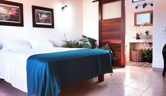 Chic room in plant filled boutique hotel near beach and plaza in Lo de Marcos