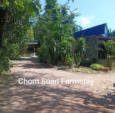 Chom Suan Farmstay