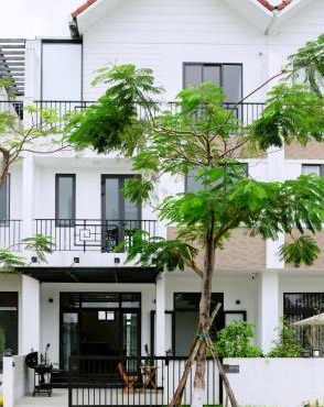 Cloud Inn Homestay