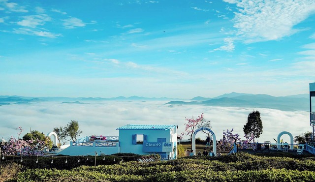 Cloud9 & Cloud View Glamping