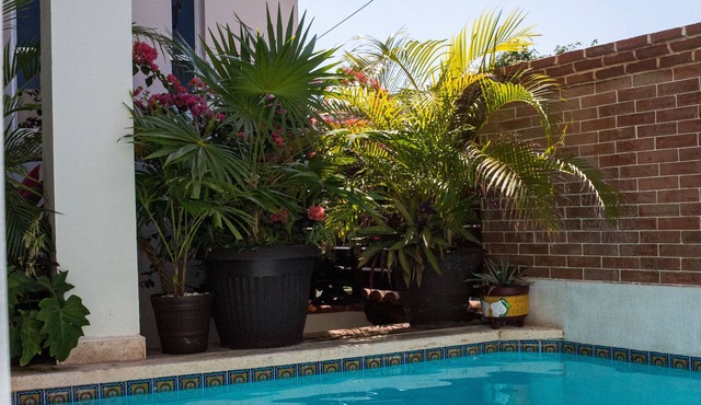 Comfortable 4 bedroom home in local area with pool! Sleeps 8 people!