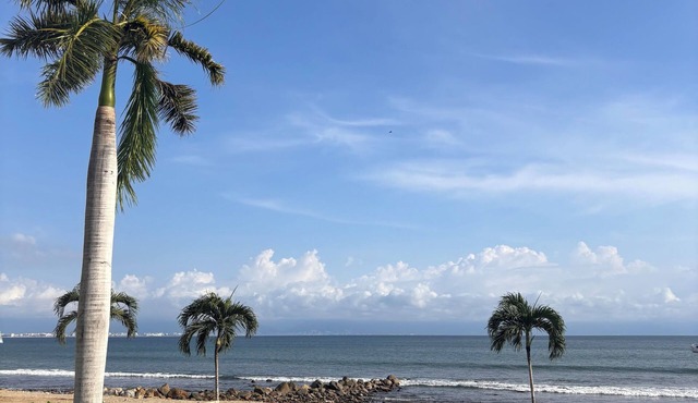 Cozy beachfront studio condo in La Cruz de Huanacaxtle with AC, fitness room