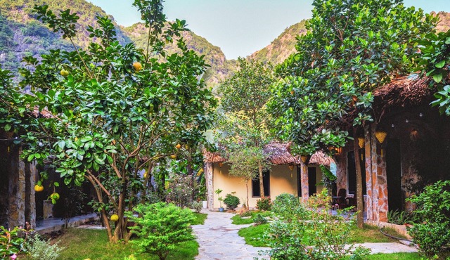 Cozy Beer Garden Homestay