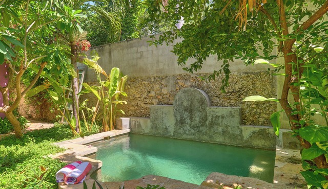 Cozy house & secret garden with pool in Centro