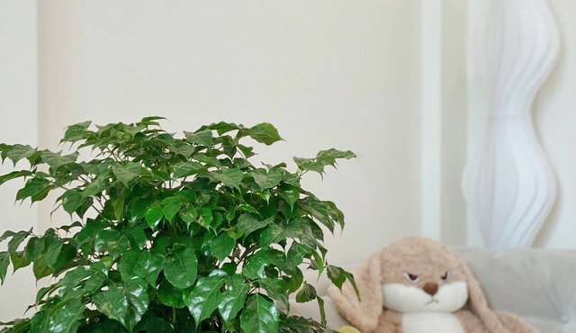 Cozy studio in pleasant Hà Nội with WiFi, AC