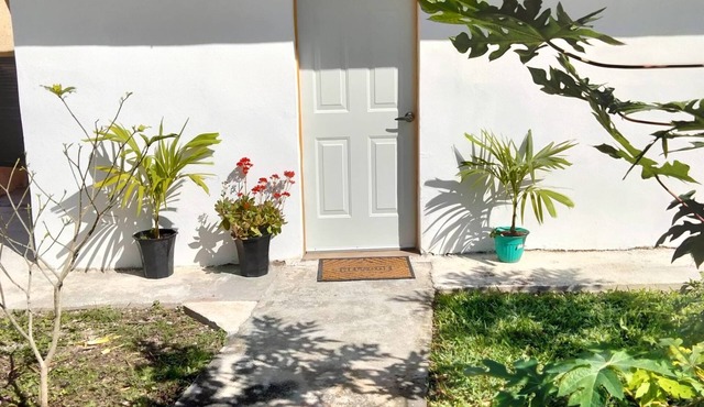 Cozy studio with car rental available!