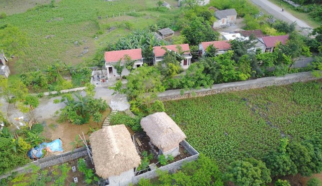 Cuc Phuong Bungalow