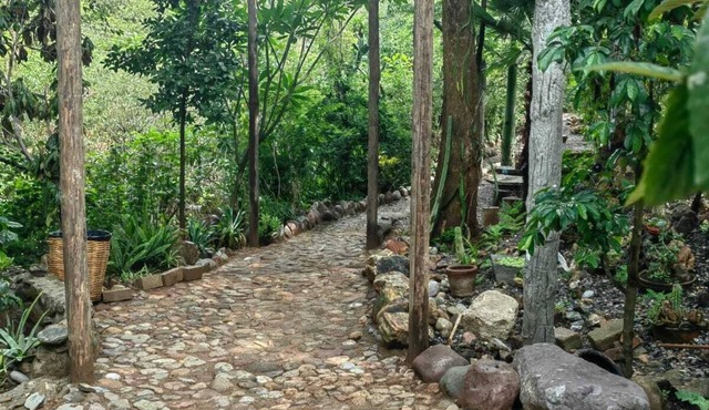 Departamento en medio de la naturaleza, ¡a solo 10 minutos del centro de Oaxaca!