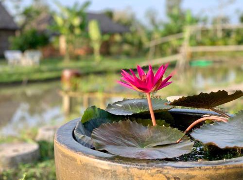Discovery Mekong local's life - Breakfast TwoBoatTours Included for 2nights