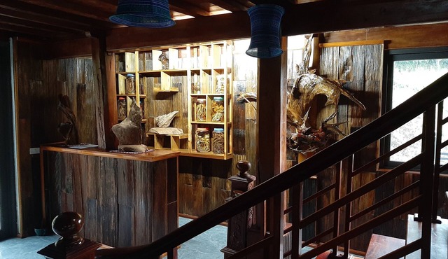 DONG SUOI H'MONG HOMESTAY