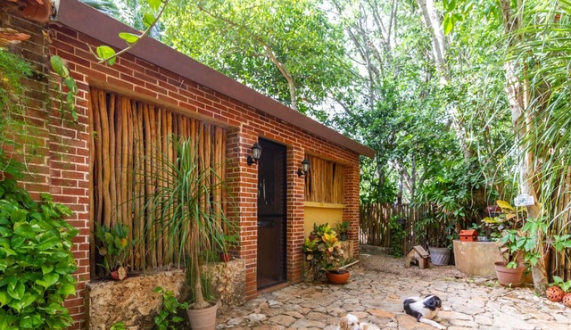 DRAGONFLY country house with swimming pool and beautiful tropical garden