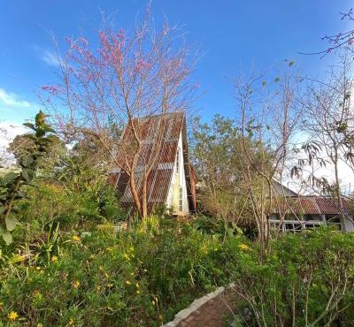 Dreamer Cabin Tre house Dalat