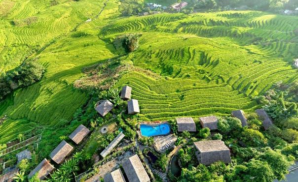 Eco Palms House - Sapa Retreat