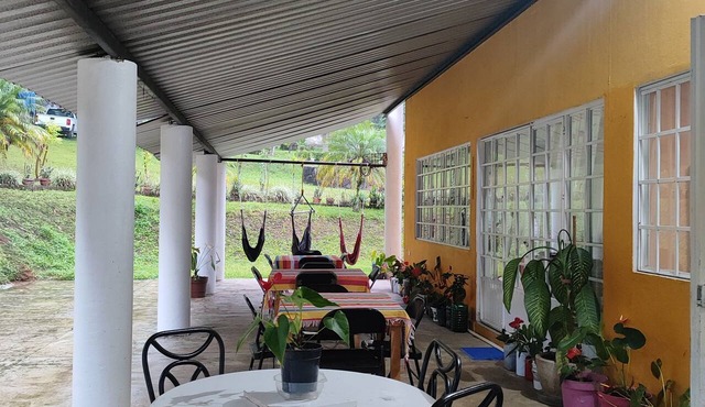 el jardin de los anturios