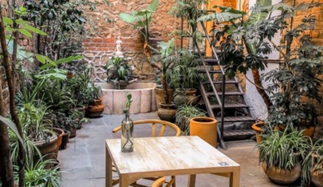 El Patio 77