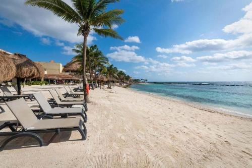 Estudio Cerca del mar, en Puerto Aventuras #201