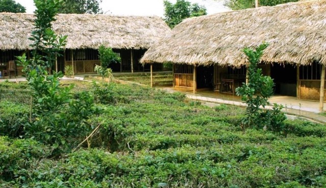 Family Homestay Ba Vi - Hostel
