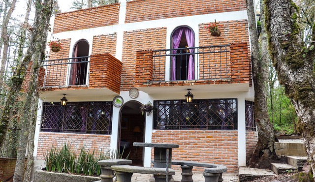 Finca de los Leones - Cabaña Primavera